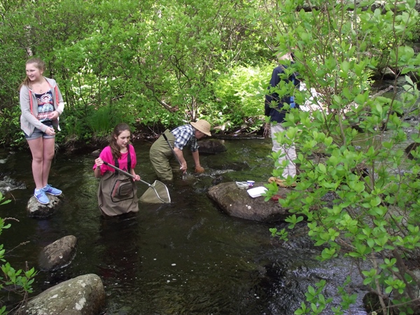 Macroinvertebrate sampling